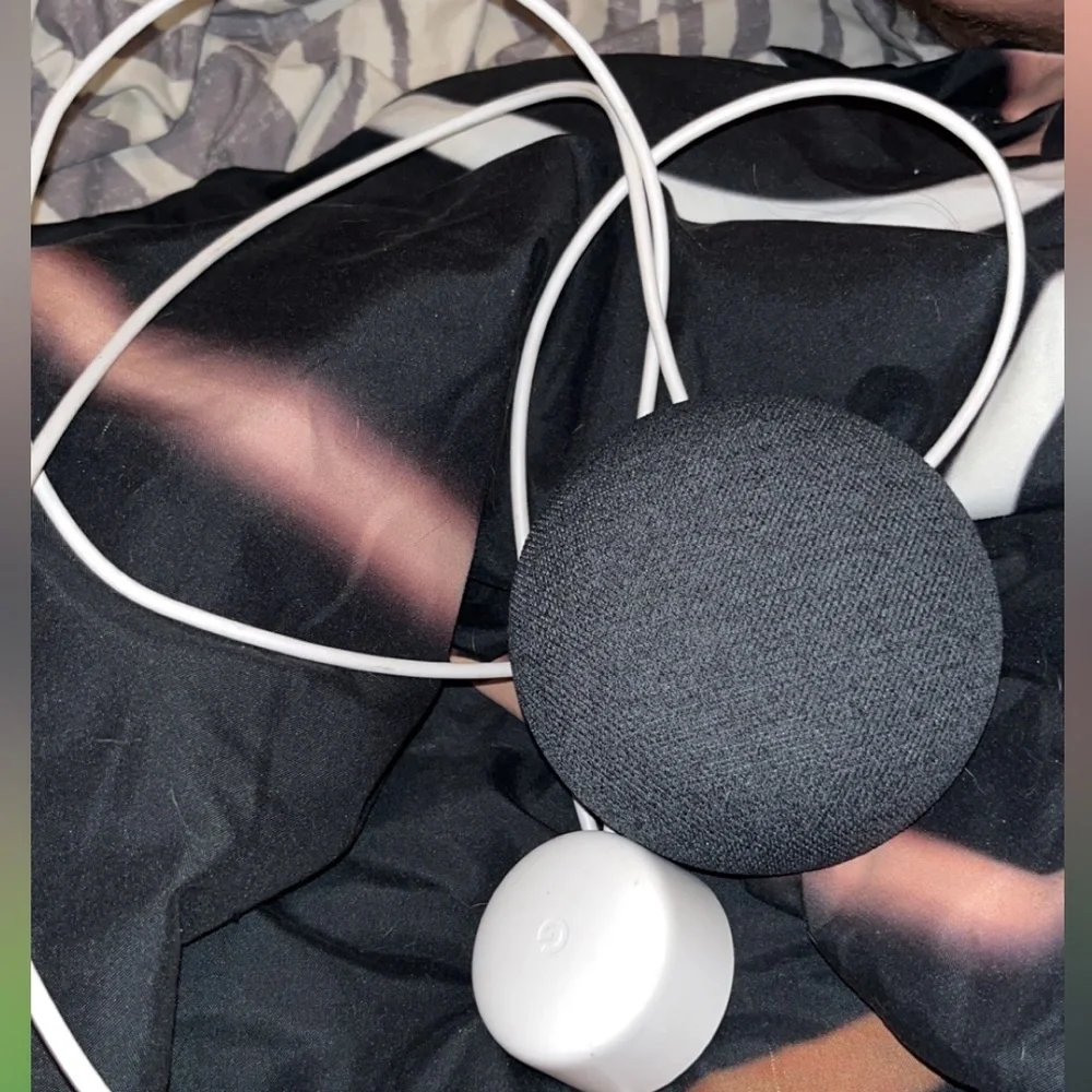 Google Home Nest Mini